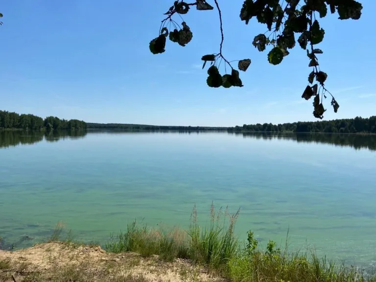 Бирюзовая вода и лесистый берег