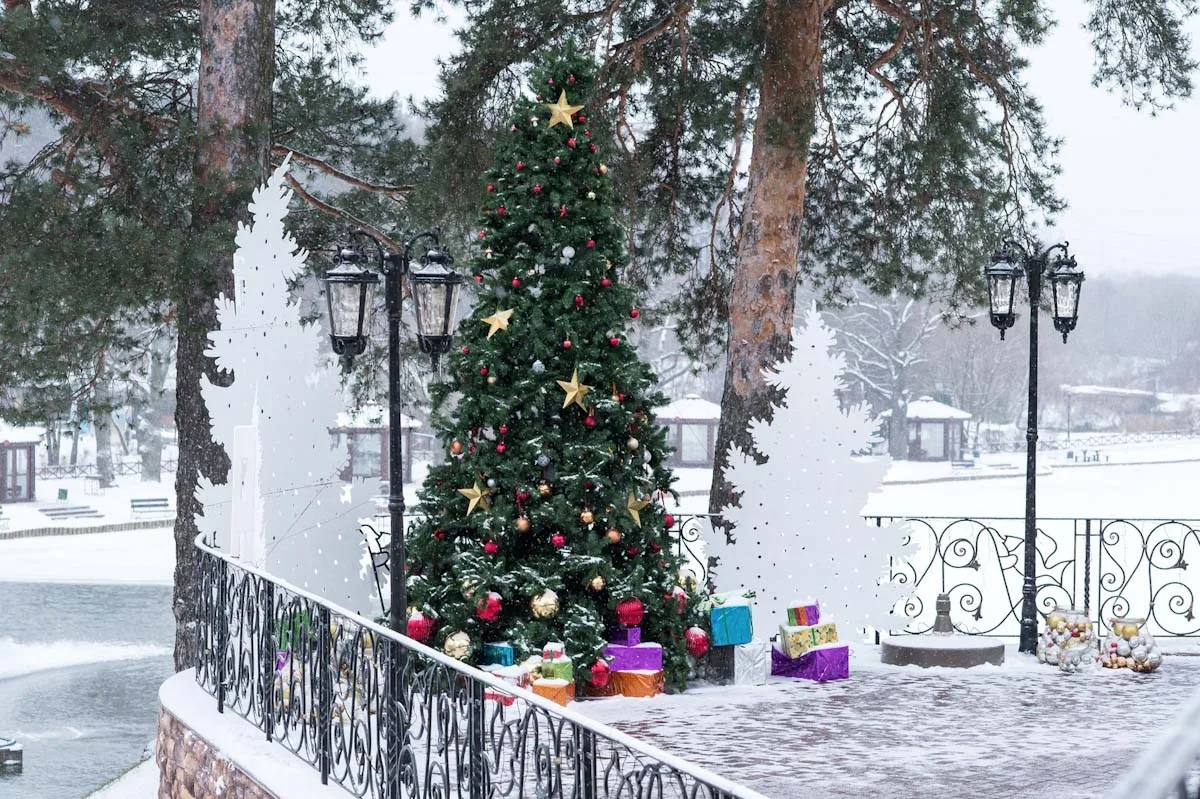Территория зимой