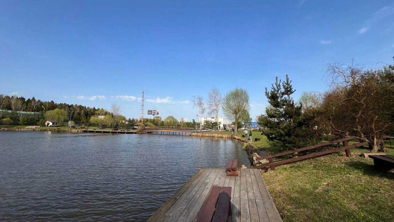 Пруд с мостками