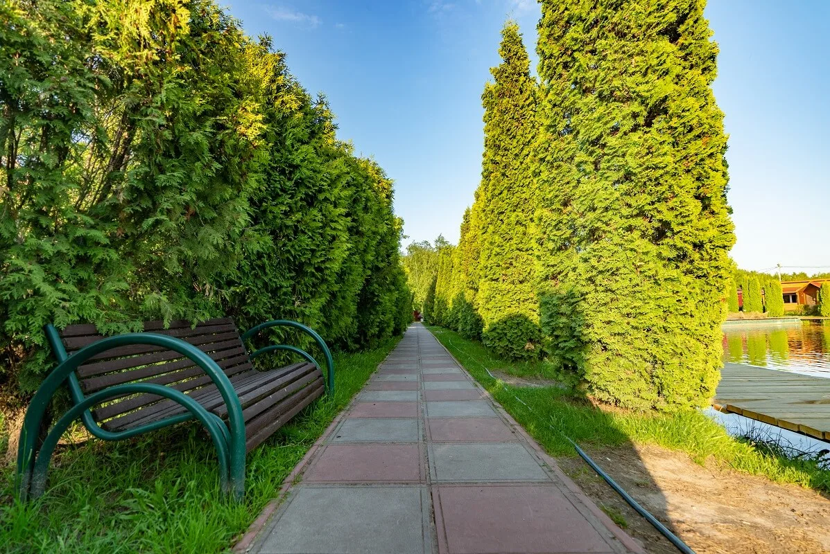 Аллея с лавочками