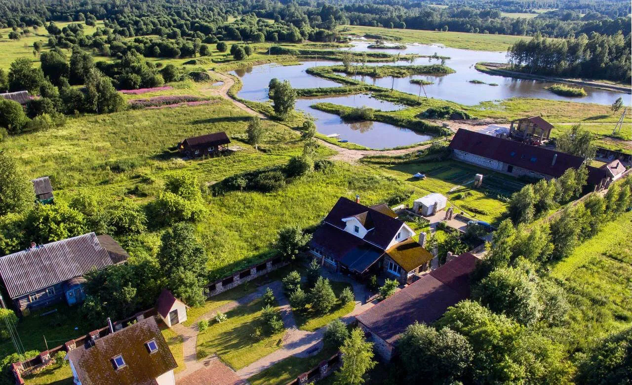 Вид сверху на пруды
