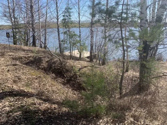 Берег водоёма