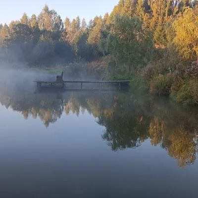 Пруд в тумане