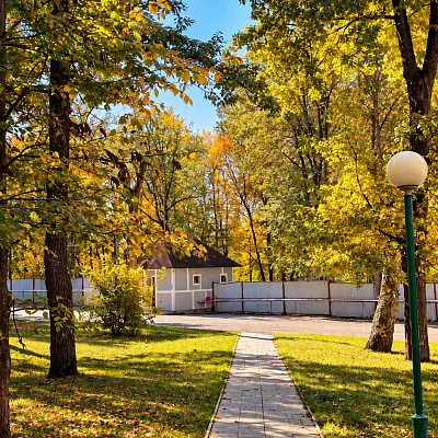 Аллея парка