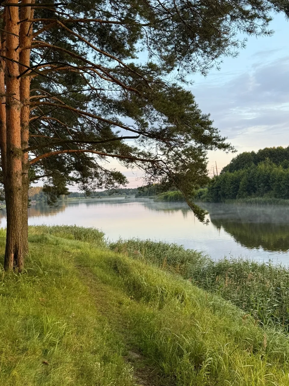 Берег озера