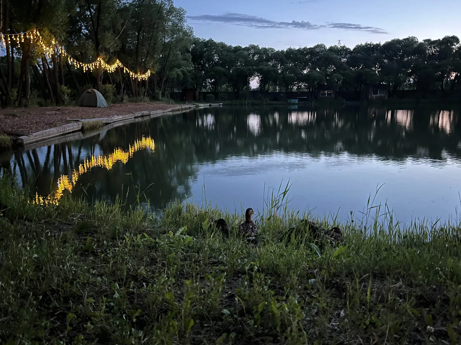 Вечерняя подсветка у воды