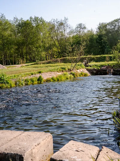Пруд с проточной водой